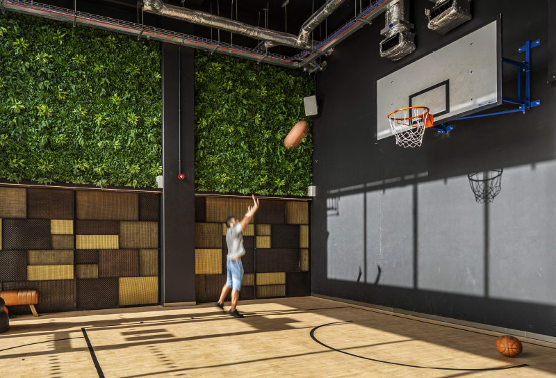 3D visual of basketball court