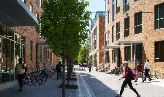 Foss Lane precedent, walkway and tree line